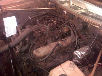 11813357_10207157986725444_7024868758058127660_n.jpg 11813357_10207157986725444_7024868758058127660_n.jpg