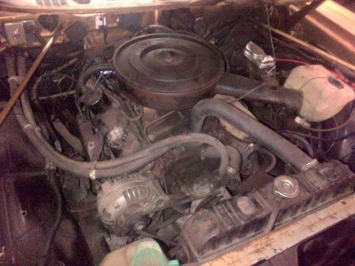 11822543_10207171673667609_29331371229006180_n.jpg 11822543_10207171673667609_29331371229006180_n.jpg