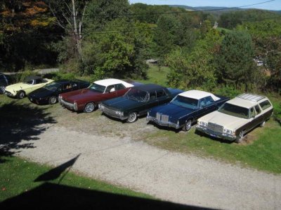 IMG_3707.JPG IMG_3707.JPG