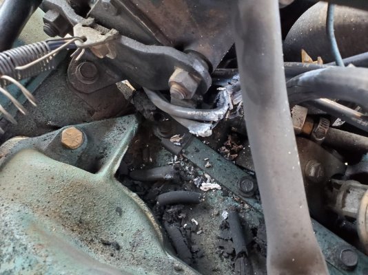 293161401_10221721585721170_2491701476531065901_n.jpg 293161401_10221721585721170_2491701476531065901_n.jpg