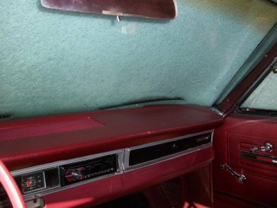 my new camara 001.jpg