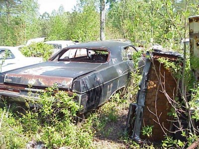 Sport Fury 440-6 mitchell.jpg