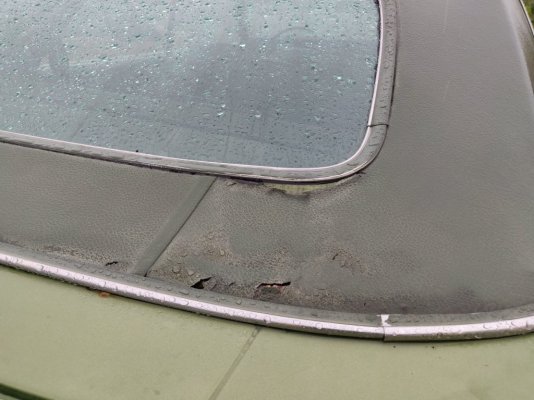 IMG_20210922_093936.jpg IMG_20210922_093936.jpg