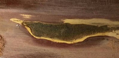 isitbad.jpg isitbad.jpg