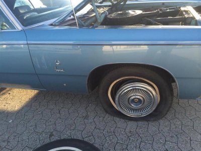 3102 (Medium).jpg 3102 (Medium).jpg