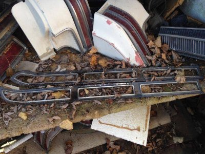 IMG_5739.jpg IMG_5739.jpg