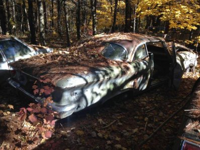 IMG_5753.jpg IMG_5753.jpg