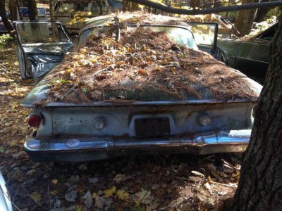 IMG_5754.jpg IMG_5754.jpg