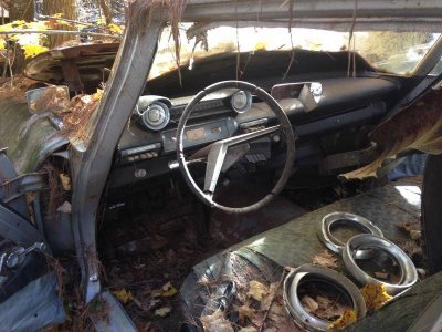 IMG_5755.jpg IMG_5755.jpg