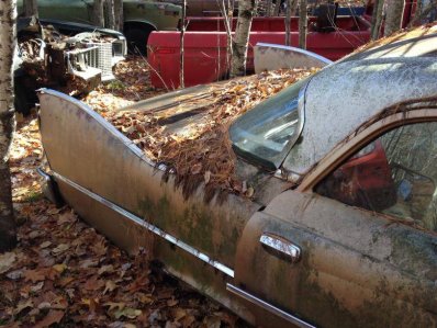 IMG_5762.jpg IMG_5762.jpg