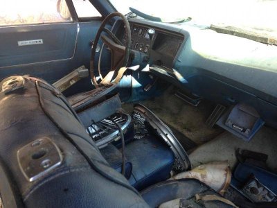 IMG_5724.jpg IMG_5724.jpg