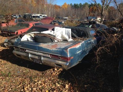 IMG_5725.jpg IMG_5725.jpg