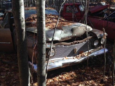 IMG_5763.jpg IMG_5763.jpg