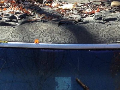 IMG_5766.jpg IMG_5766.jpg