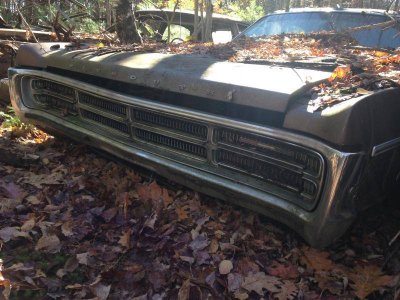 IMG_5767.jpg IMG_5767.jpg