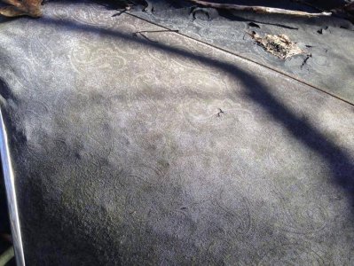 IMG_5771.jpg IMG_5771.jpg