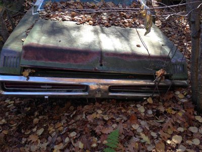 IMG_5774.jpg IMG_5774.jpg