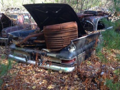 IMG_5775.jpg IMG_5775.jpg