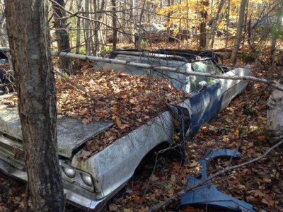 IMG_5778.jpg IMG_5778.jpg