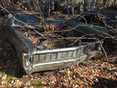 IMG_5779.jpg IMG_5779.jpg