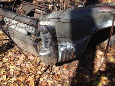 IMG_5781.jpg IMG_5781.jpg