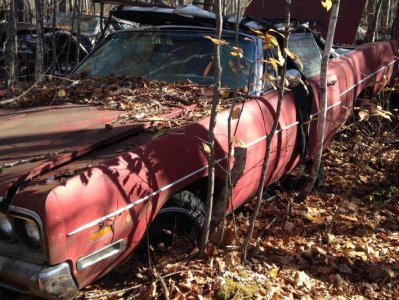 IMG_5784.jpg IMG_5784.jpg