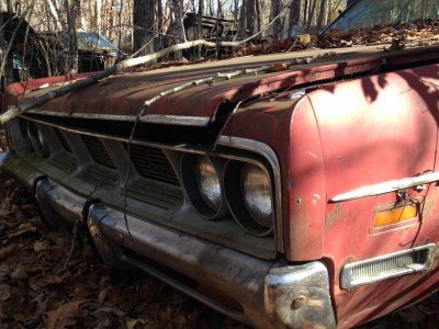 IMG_5785.jpg IMG_5785.jpg