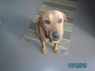 PICT0069.jpg PICT0069.jpg