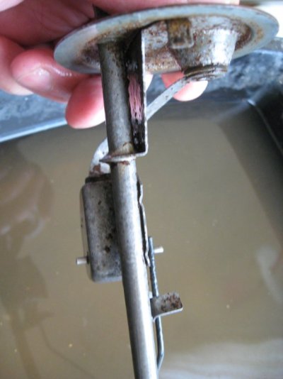 IMG_3181.JPG IMG_3181.JPG