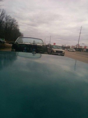 12305815_10156324196830650_239379898_n.jpg 12305815_10156324196830650_239379898_n.jpg