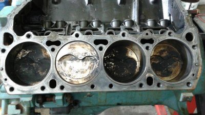 20151124_084921_resized.jpg 20151124_084921_resized.jpg