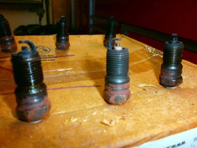 PC060011.jpg PC060011.jpg