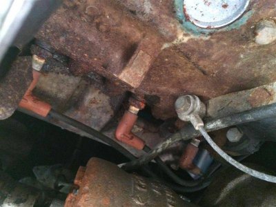 3190 (Medium).jpg 3190 (Medium).jpg