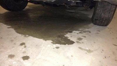 3643 (Medium).jpg 3643 (Medium).jpg