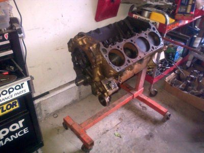 12356701_10207971591585057_8161726733251260395_o.jpg 12356701_10207971591585057_8161726733251260395_o.jpg