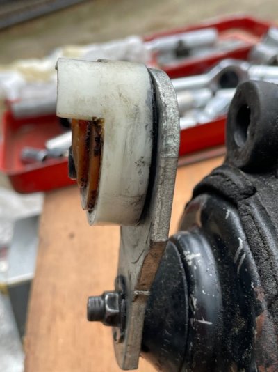 IMG_0376.jpeg IMG_0376.jpeg