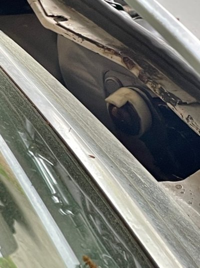 IMG_0380.jpeg IMG_0380.jpeg