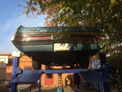 3140 (Medium).jpg 3140 (Medium).jpg