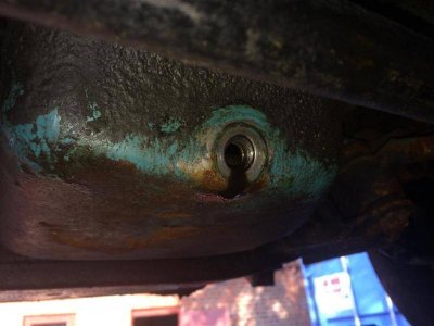 3166 (Medium).jpg 3166 (Medium).jpg