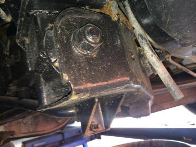 3175 (Medium).jpg 3175 (Medium).jpg