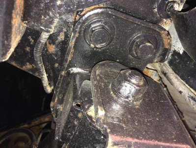 3176 (Medium).jpg 3176 (Medium).jpg