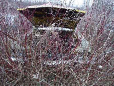 DSC00470.jpg DSC00470.jpg