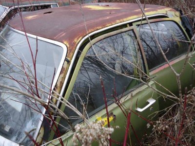 DSC00471.jpg DSC00471.jpg