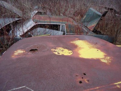 DSC00472.jpg DSC00472.jpg