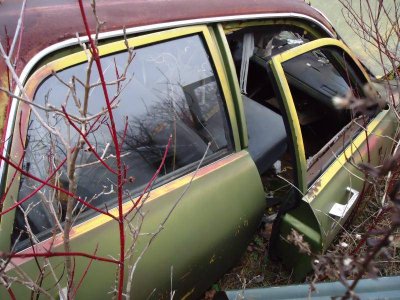 DSC00475.jpg DSC00475.jpg