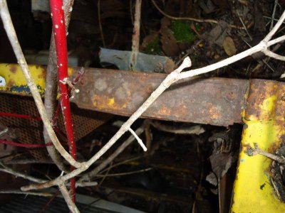 DSC00480.jpg DSC00480.jpg