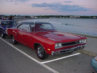 bee at beach.jpg bee at beach.jpg