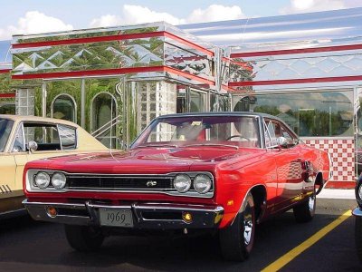 bee at diner.jpg bee at diner.jpg