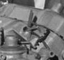 ceremony at trenton crop.jpg