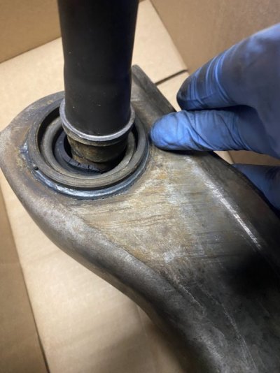 IMG_9782.jpg IMG_9782.jpg